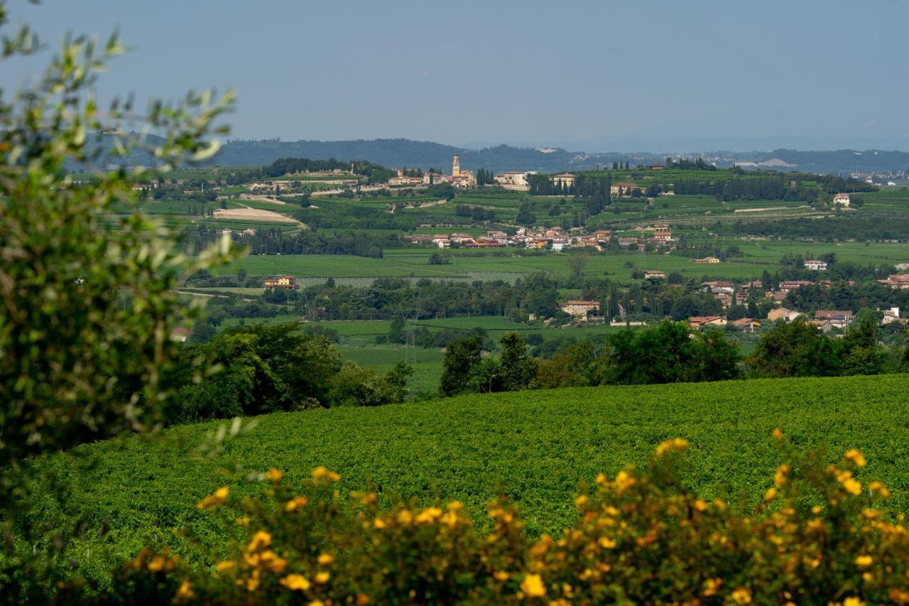 Villa Vitis Negrar Bagian luar foto